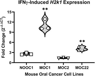 The impact of tumor immunogenicity on cancer pain phenotype using syngeneic oral cancer mouse models